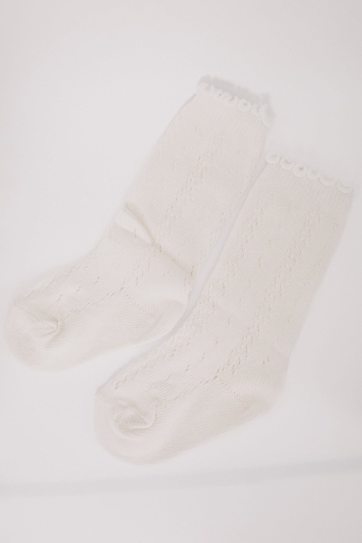 BABY - Wandering Feet Socks