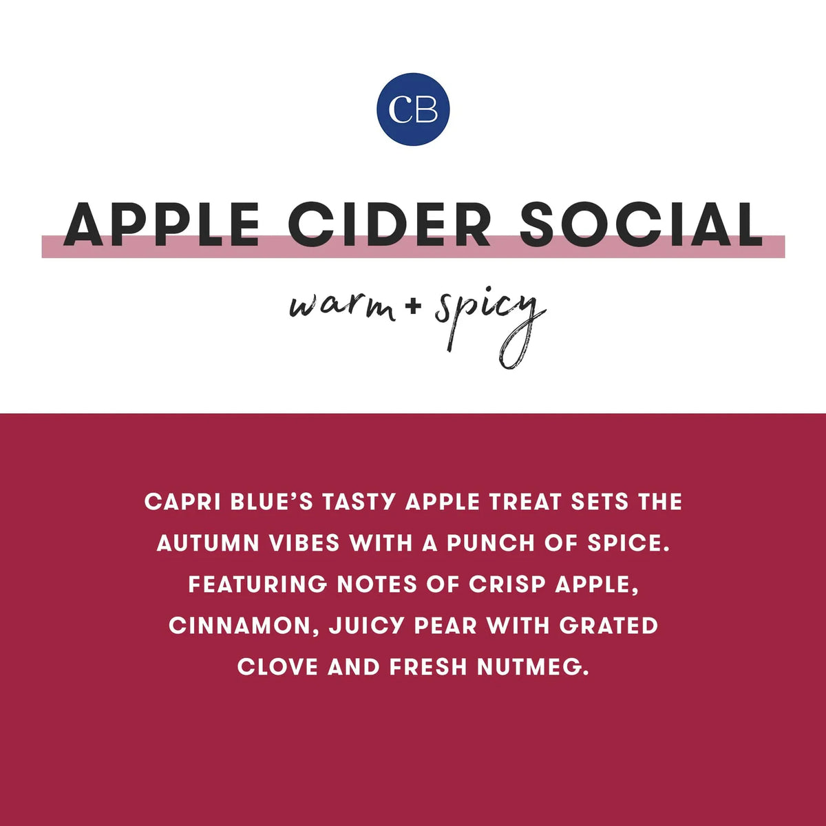 CAPRI BLUE - Apple Cider Social Holiday Pattern Play Petite Candle, 8 oz